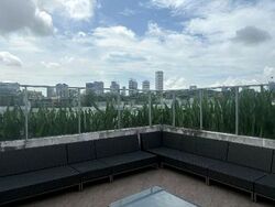 Belle Vue Residences (D9), Condominium #569572411